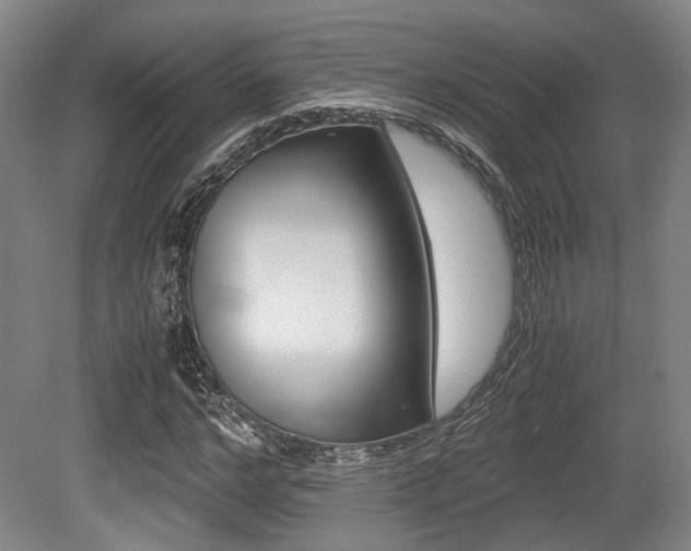 X0000079320968200611170926