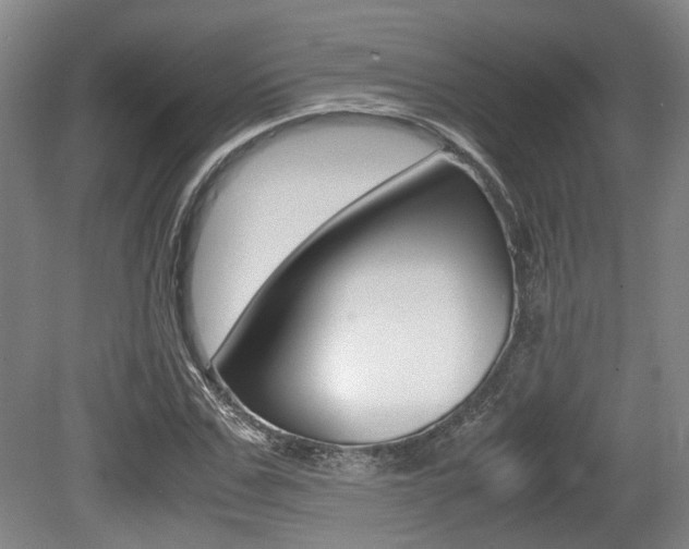 X0000079320971200611170926