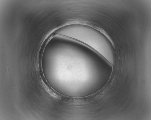 X0000079320972200611170926