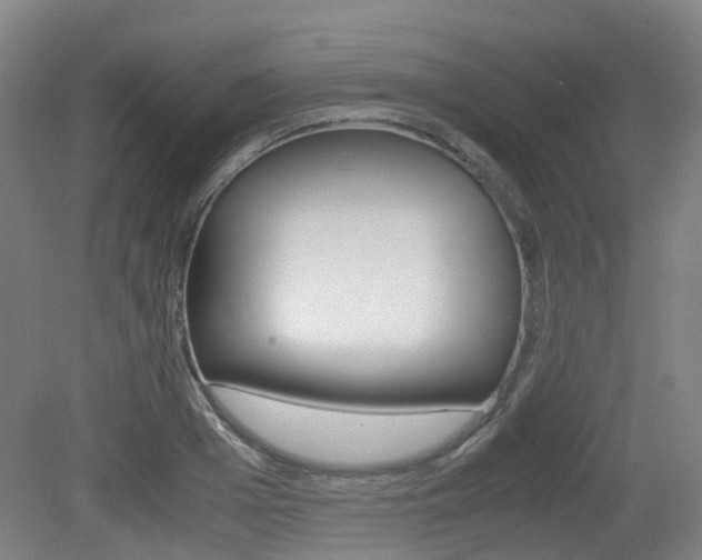 X0000079320985200611170926