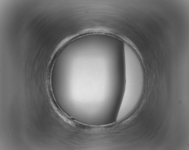 X0000079320989200611170926