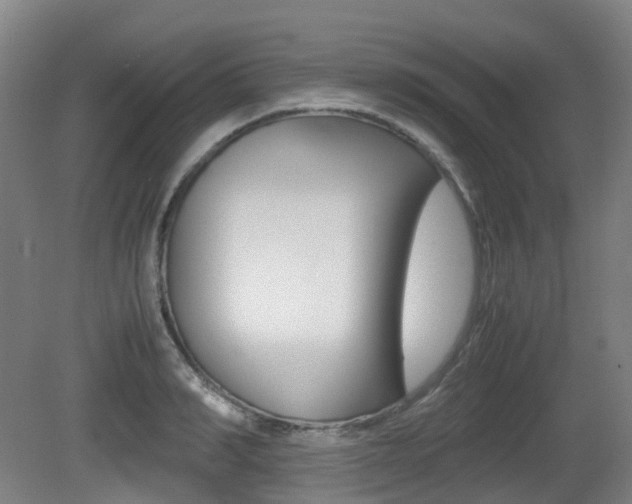 X0000079320990200611170926