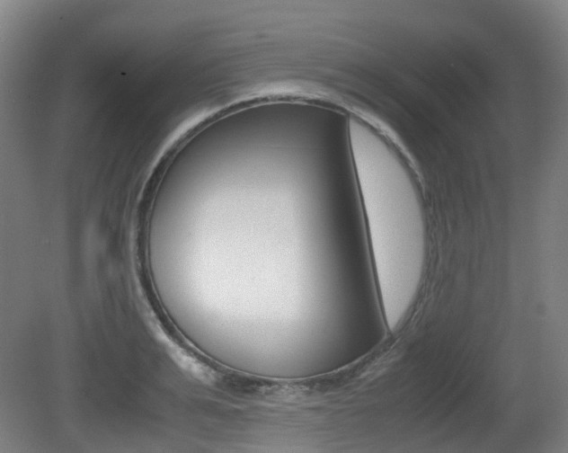 X0000079320991200611170926