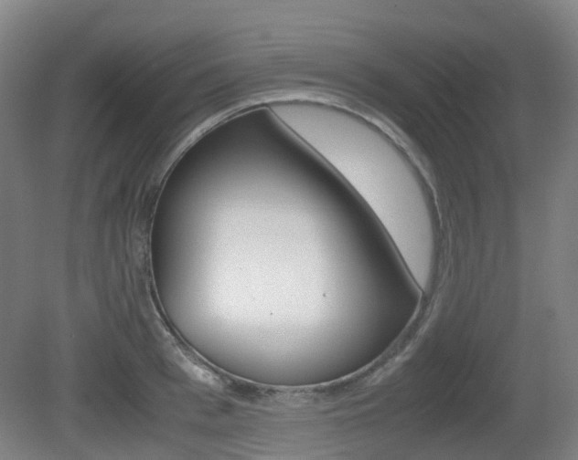 X0000079320993200611170926