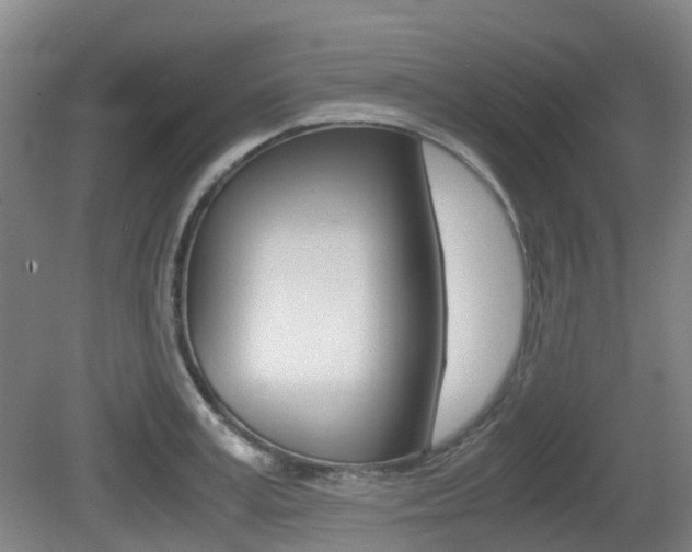 X0000079320995200611170926