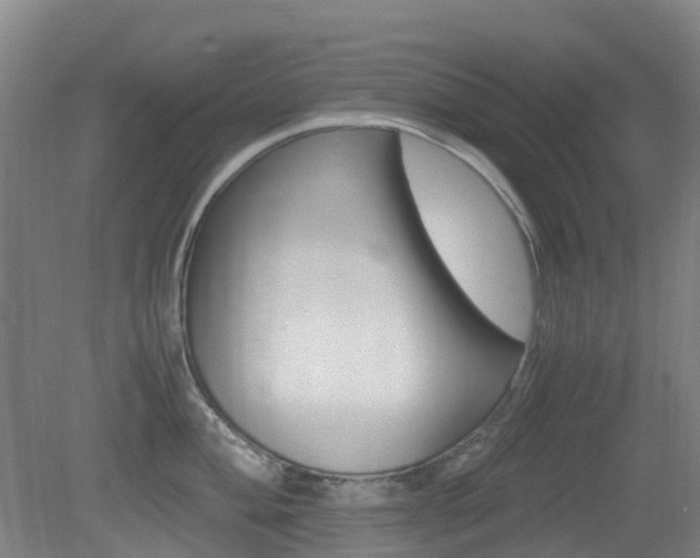 X0000079321004200611170926