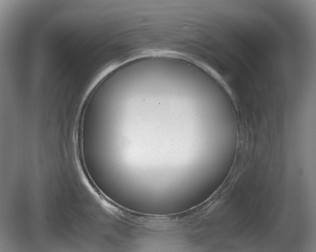 X0000079321007200611170925