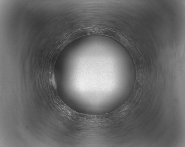 X0000079321010200611170925