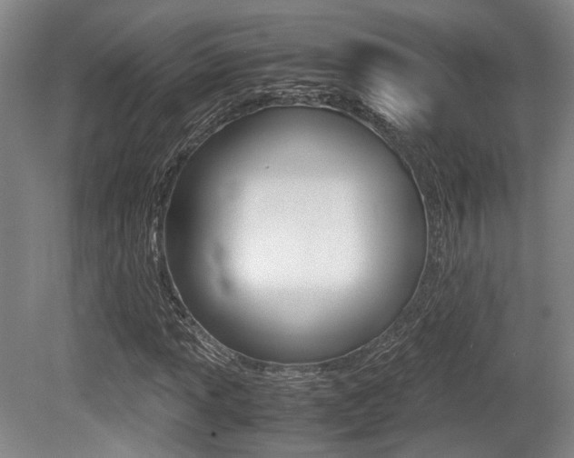 X0000079321013200611170925