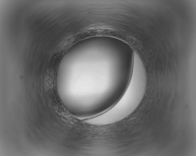 X0000079321014200611170925