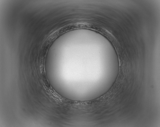 X0000079321015200611170925