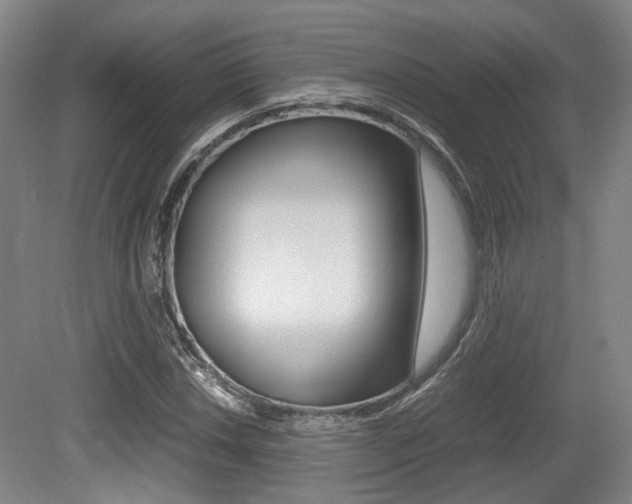 X0000079321018200611170925