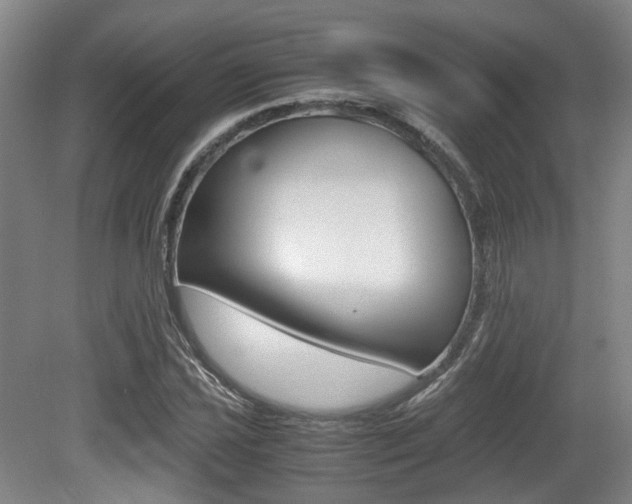X0000079321021200611170925