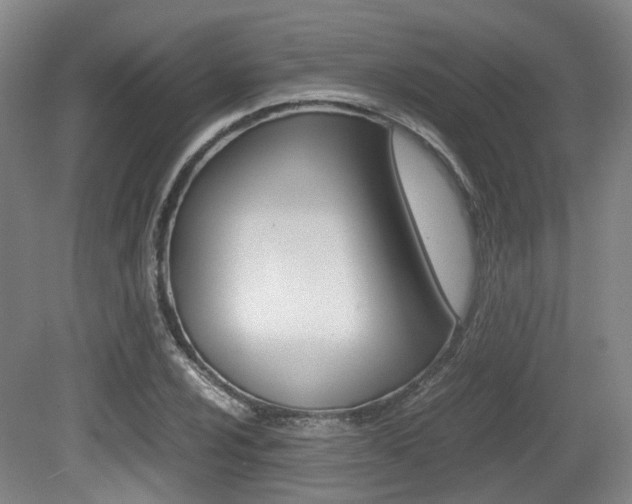 X0000079321024200611170925