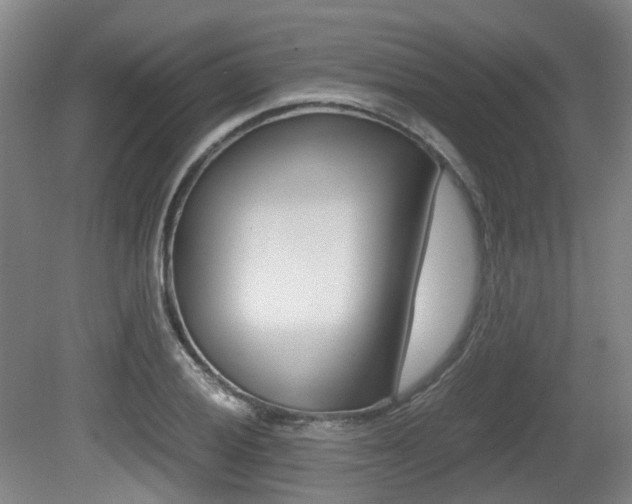 X0000079321028200611170925