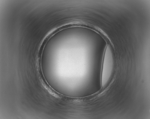 X0000079321029200611170925