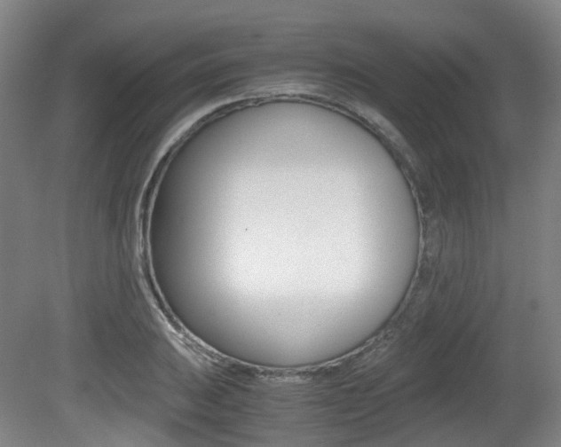 X0000079321031200611170925