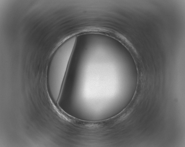X0000079321033200611170925