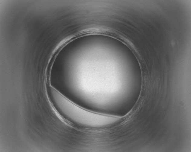 X0000079321034200611170925