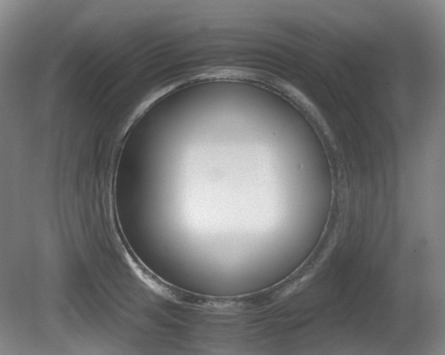 X0000079321041200611170925