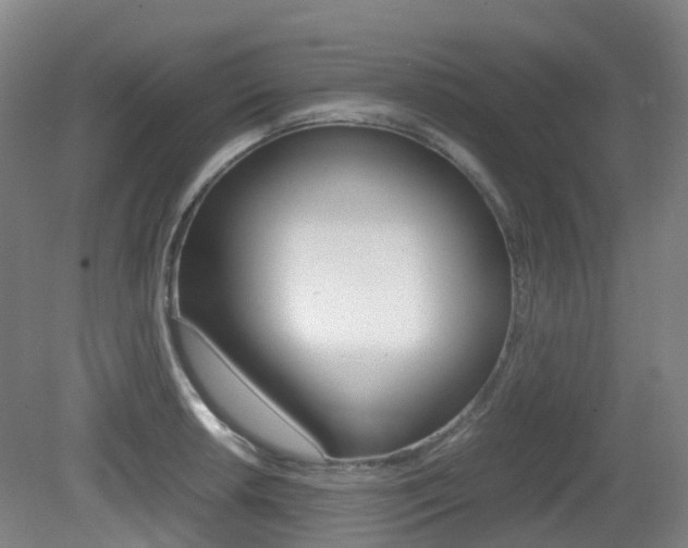 X0000079321042200611170925