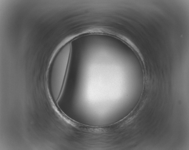 X0000079321045200611170925