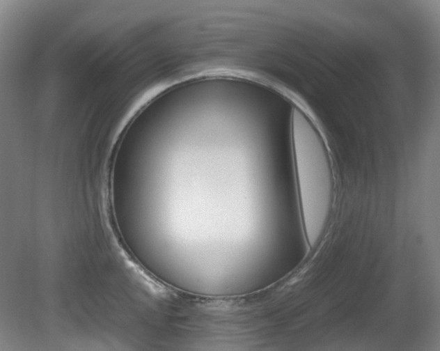 X0000079321048200611170925
