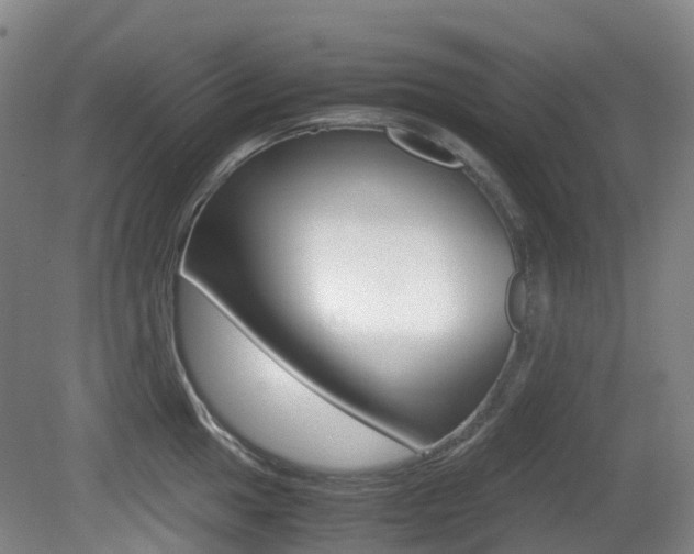 X0000079321049200611170925