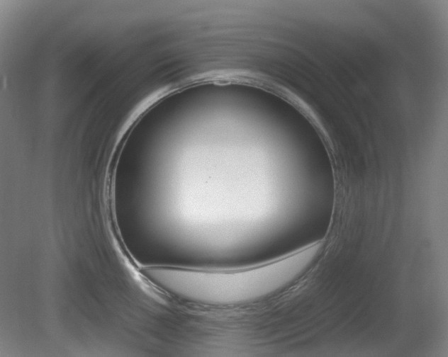 X0000079321050200611170925