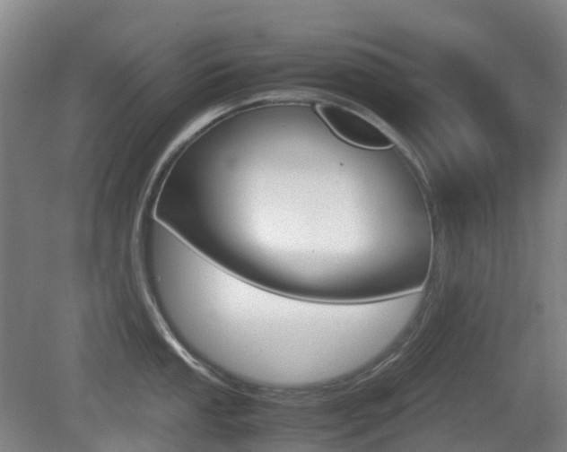 X0000079321053200611170925