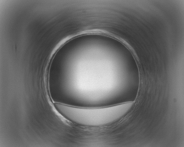 X0000079321054200611170925