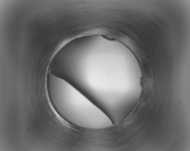 X0000079321055200611170925