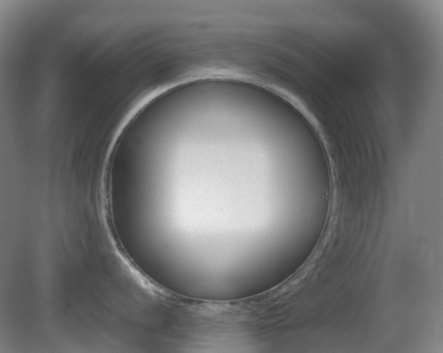 X0000079321056200611170925