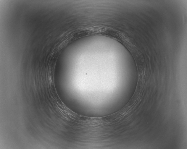 X0000079321058200611170925