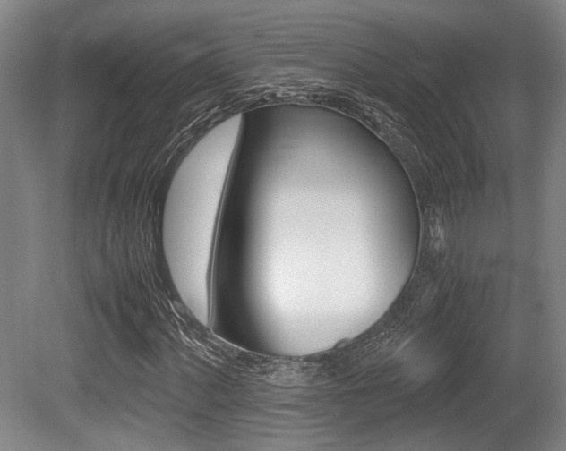 X0000079321060200611170925