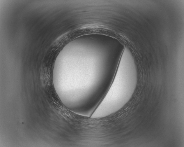 X0000079321062200611170925