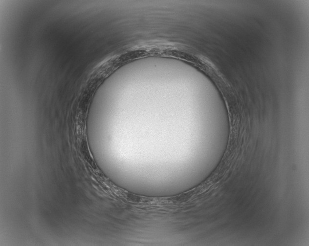 X0000079321063200611170925