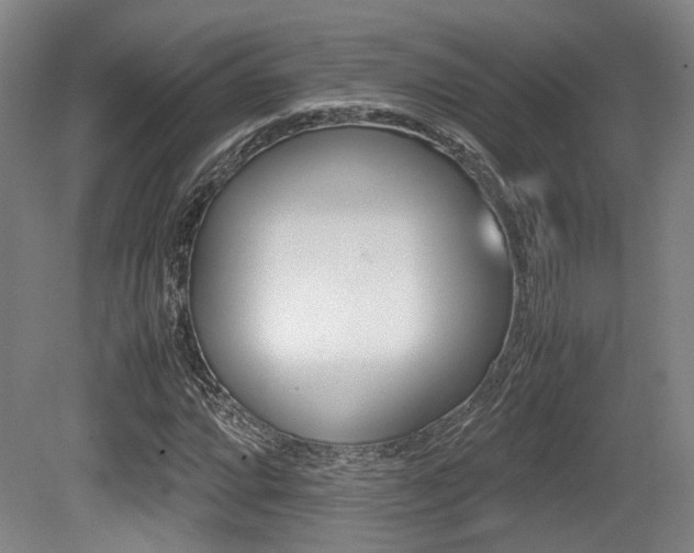 X0000079321064200611170924