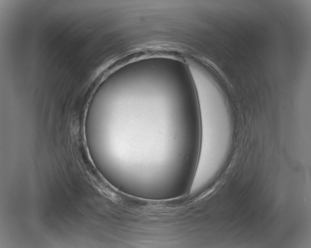 X0000079321065200611170924