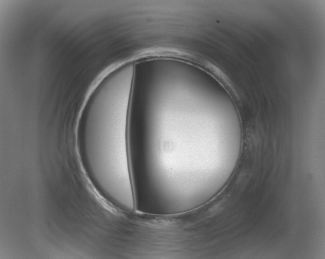X0000079321082200611170924