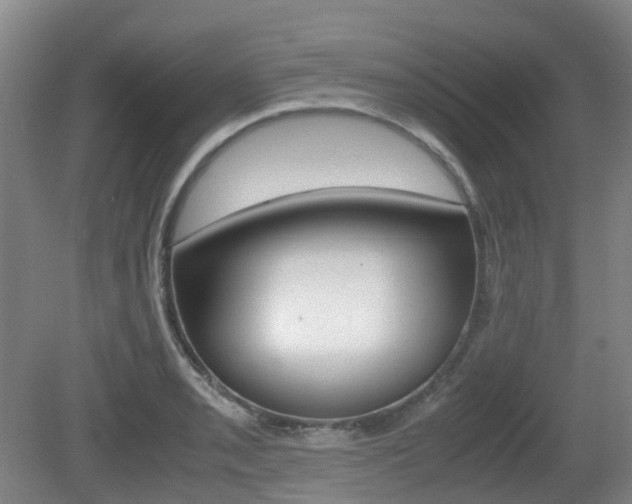 X0000079321085200611170924
