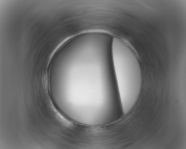 X0000079321092200611170924