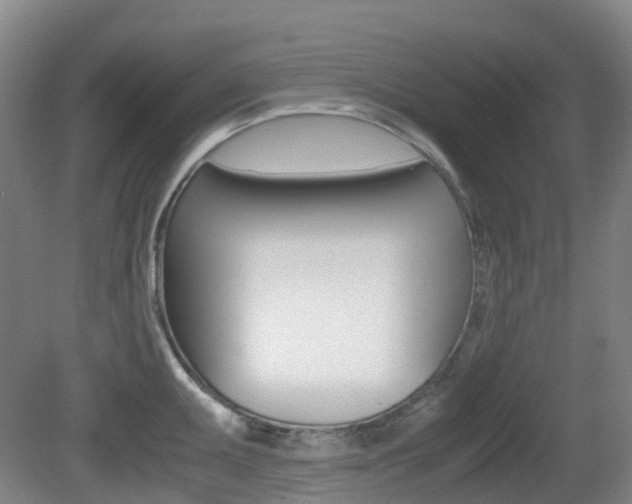 X0000079321095200611170924
