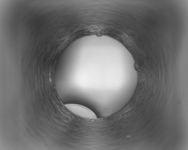 X0000079321106200611170923
