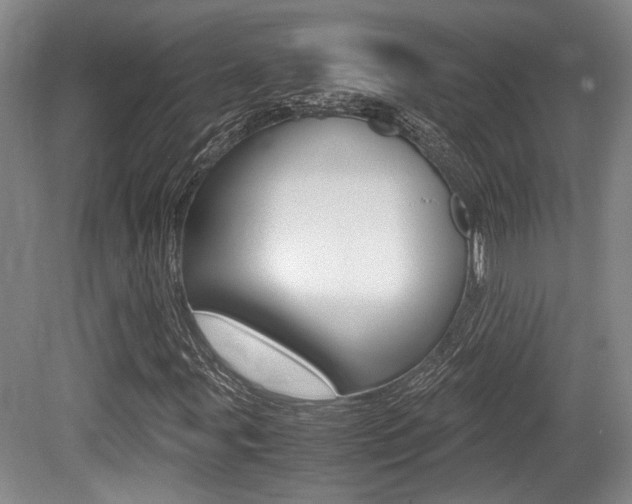 X0000079321107200611170923