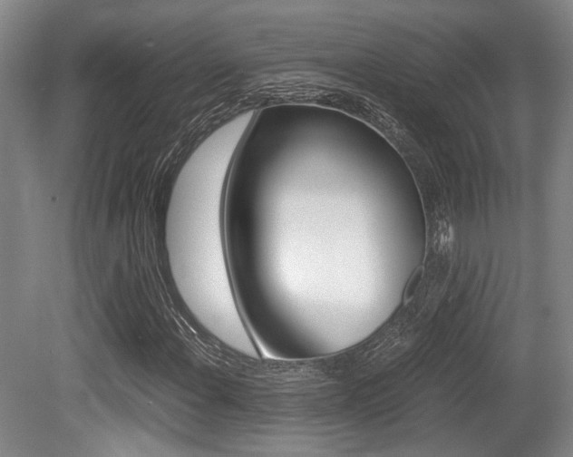X0000079321108200611170923