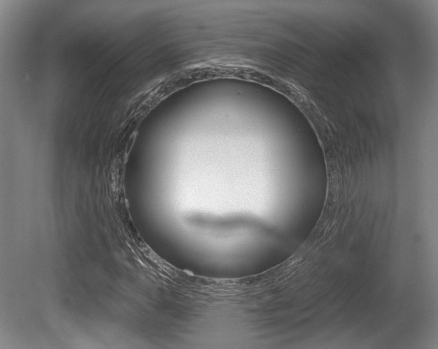 X0000079321110200611170923