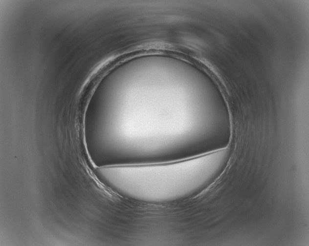 X0000079321115200611170923