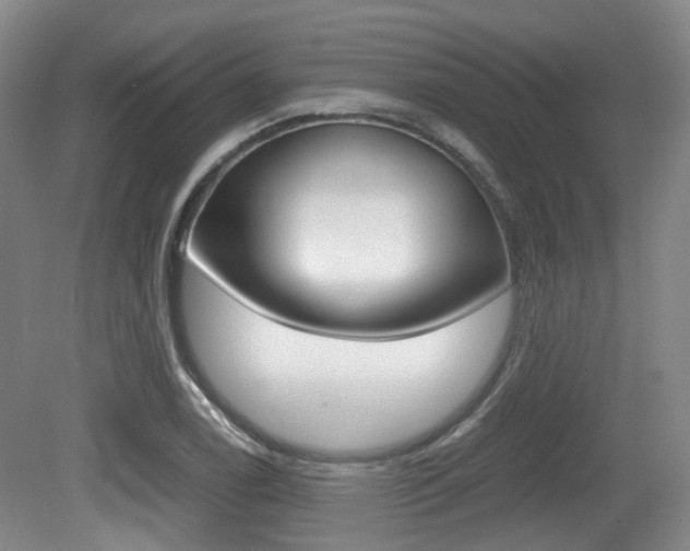 X0000079321122200611170923