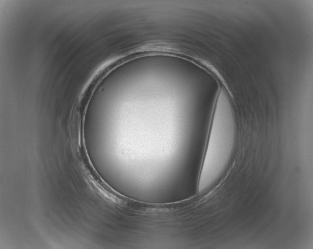 X0000079321123200611170923
